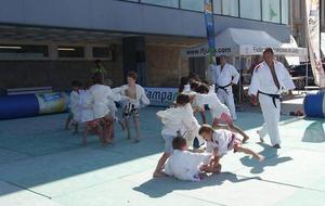 Judo Tour Littoral 2014